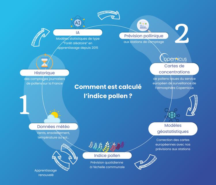 Comment est calculé l'indice pollen