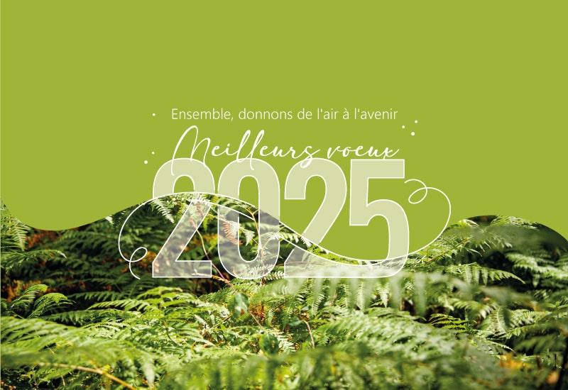 Bonne année 2025